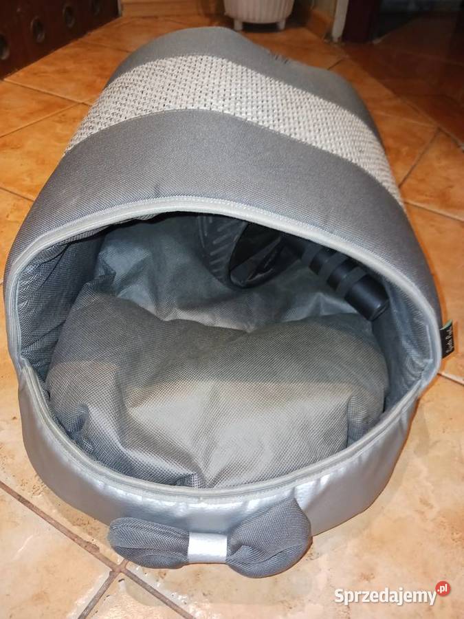 Kojec kota śląskie Ruda Śląska