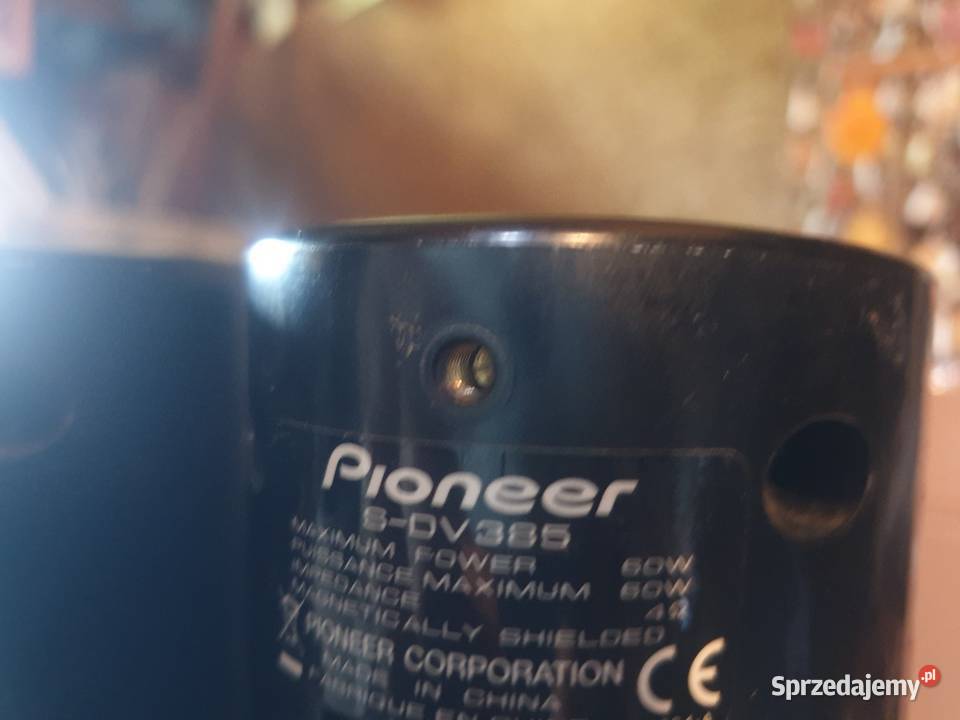 Pioneer 6 kolumienek Leżajsk