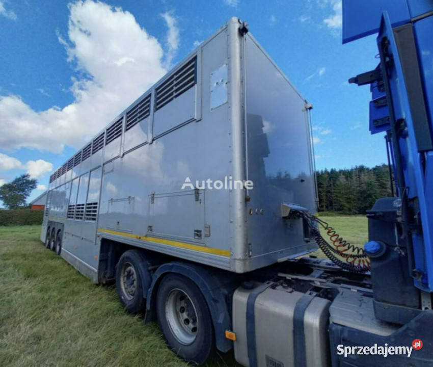 do przewozu zwierząt GrayAdams GADD3 Gray Adams Łaziska Górne