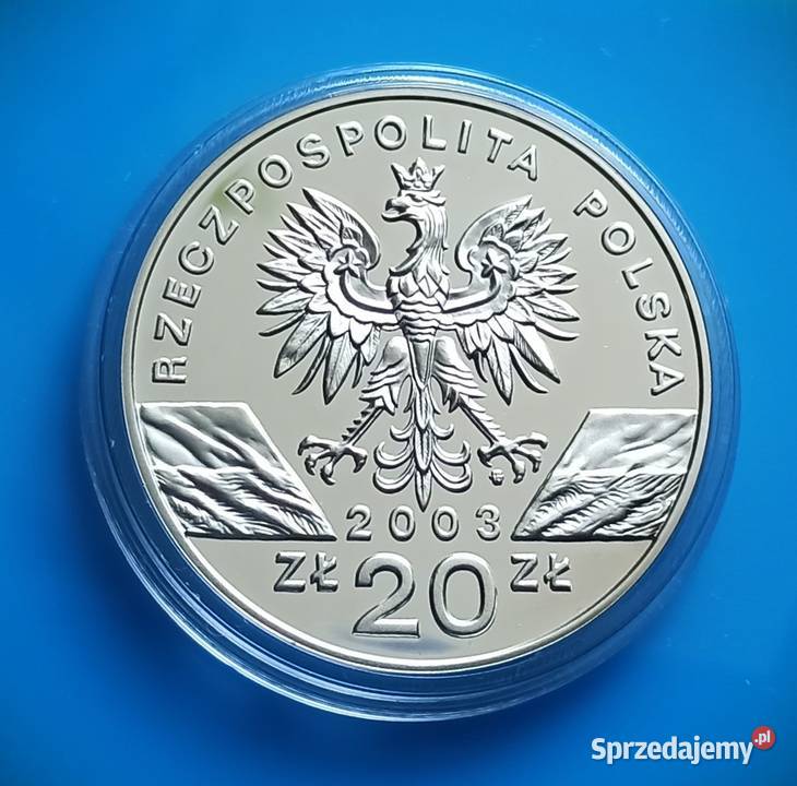 20 2003 Węgorz Europejski Wrocław