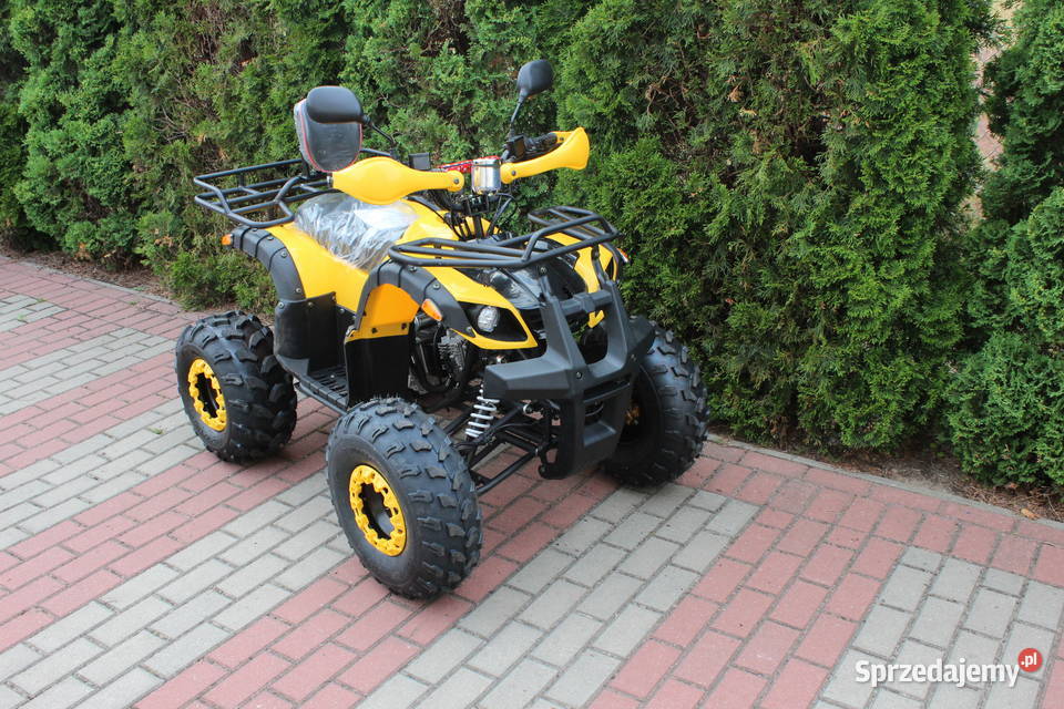 Quad HAMMER 125 cc półautomat 31 kierunkowskazy 125cm3 Goleniów