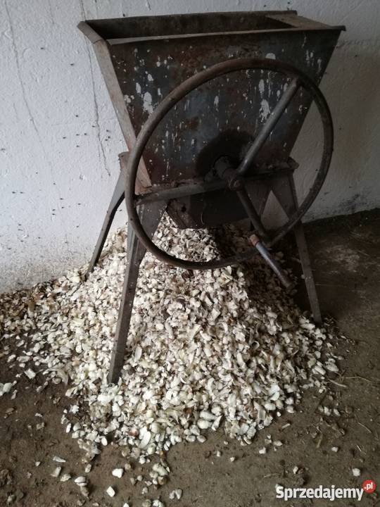 Brukwiarka Bartosz Jabłonowo Pomorskie