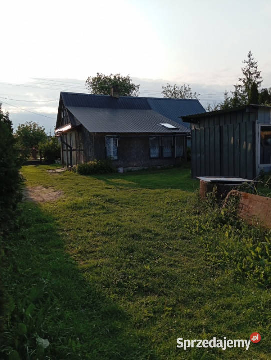 DOM NA WSI SAD ZIELEŃ PRZESTRZEŃ podlaskie Morze