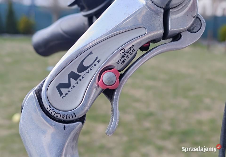 Multicycle Glide Holenderski Damka 28 Sram Dual