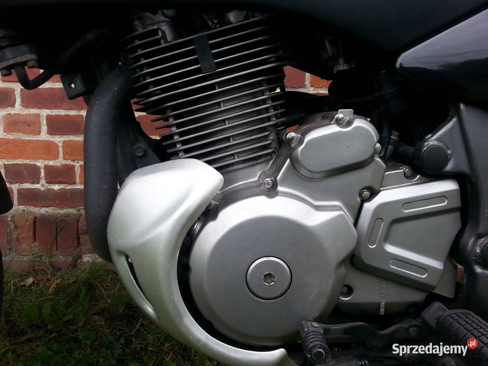 Suzuki XF 650 Freewind NA KAT A 2 Domaradzka Kuźnia