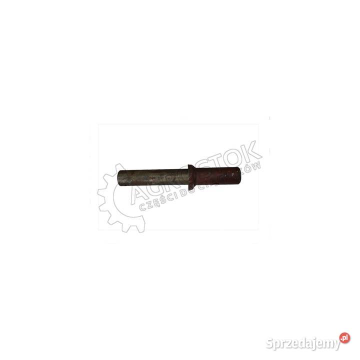 Czop koła lubelskie Parczew