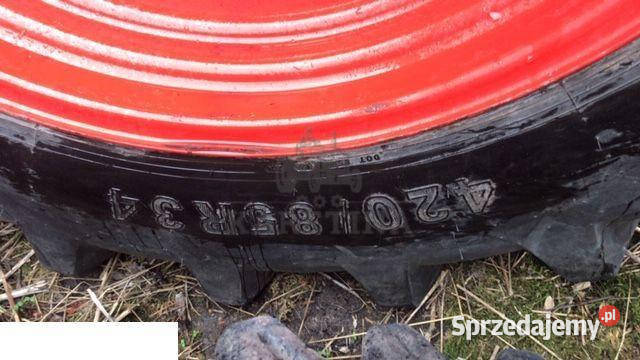 Opona Petlas 48085 r34 wielkopolskie Jastrzębniki
