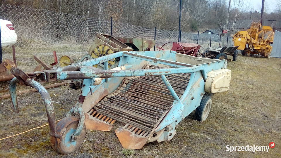 Kopaczka do ziemniaków ładne taśmy Spławy Pierwsze