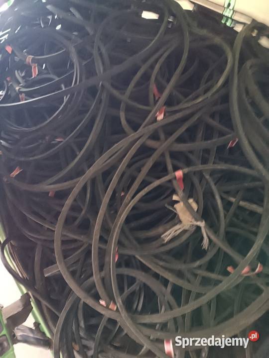 Paski klinowe z 1009 Wielmoża
