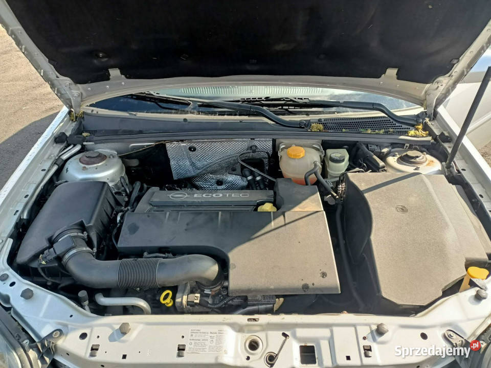 Opel Signum Opel Signum 22 05r nieuszkodzony małopolskie Tarnów