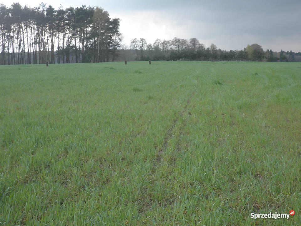 STACJA PALIW 16900m2 wielkopolskie