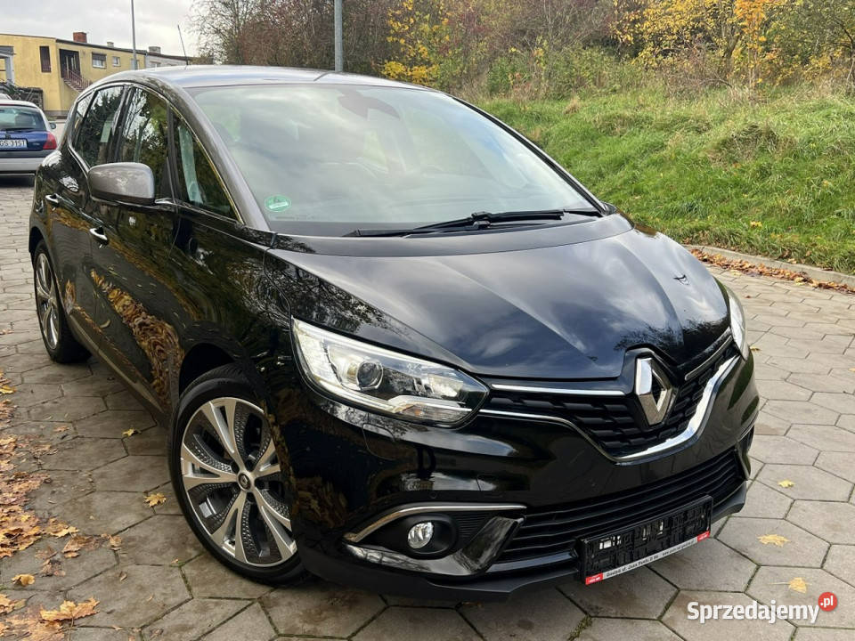 Renault Scenic Renault Scenic IV Bezwypadkowy 12 czujnik parkowania Scenic Gostyń sprzedam