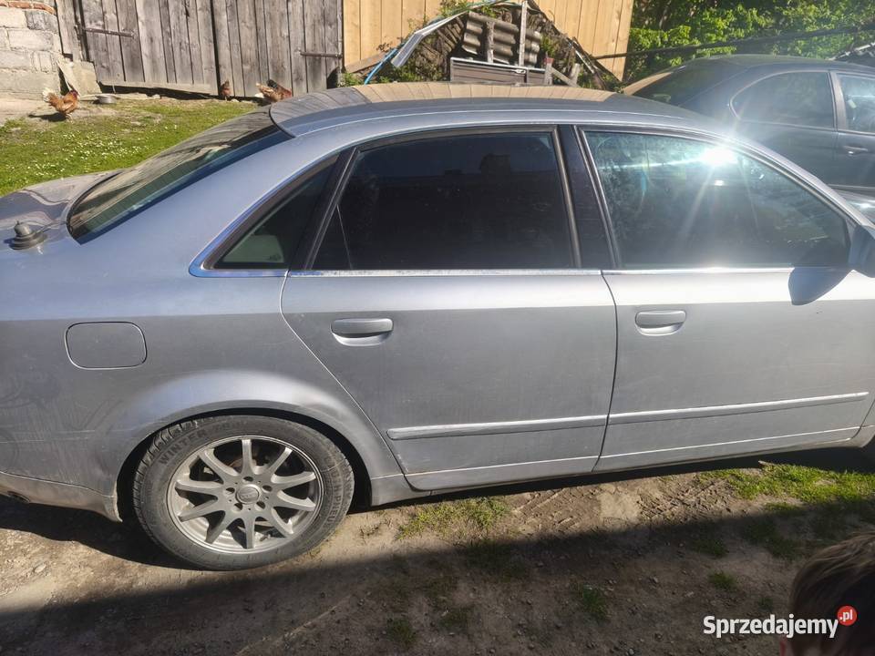 Audi a4 b6 Dynów