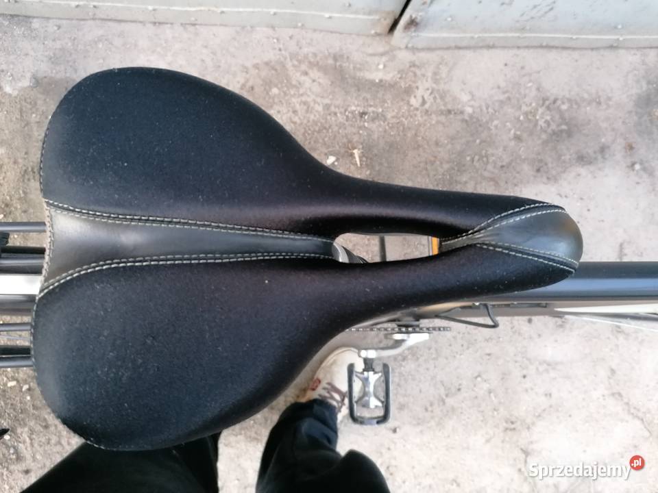 Rower Sparta Domino Elegance