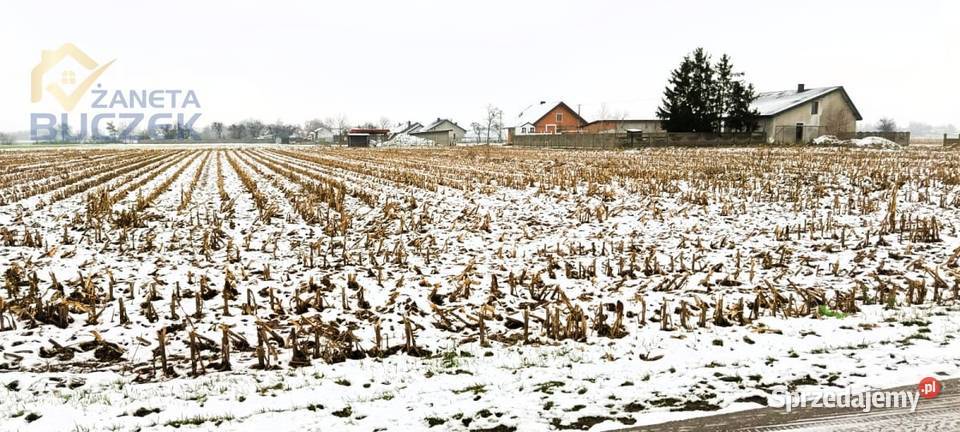 Sprzedam działkę o pow 4606 m2 w Leonowie w Sprzedaż Leonów