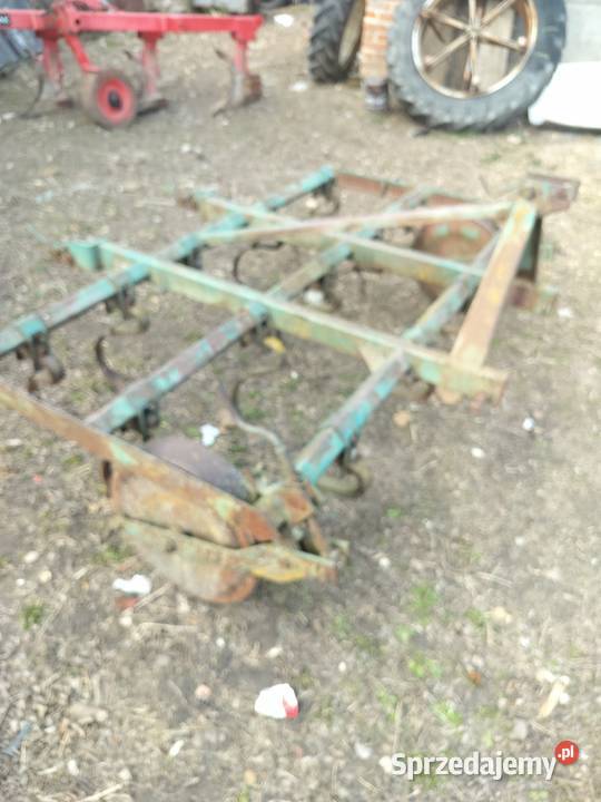 Kurtywator Grudziadz zebow 14 Pozostałe Miłochniewice