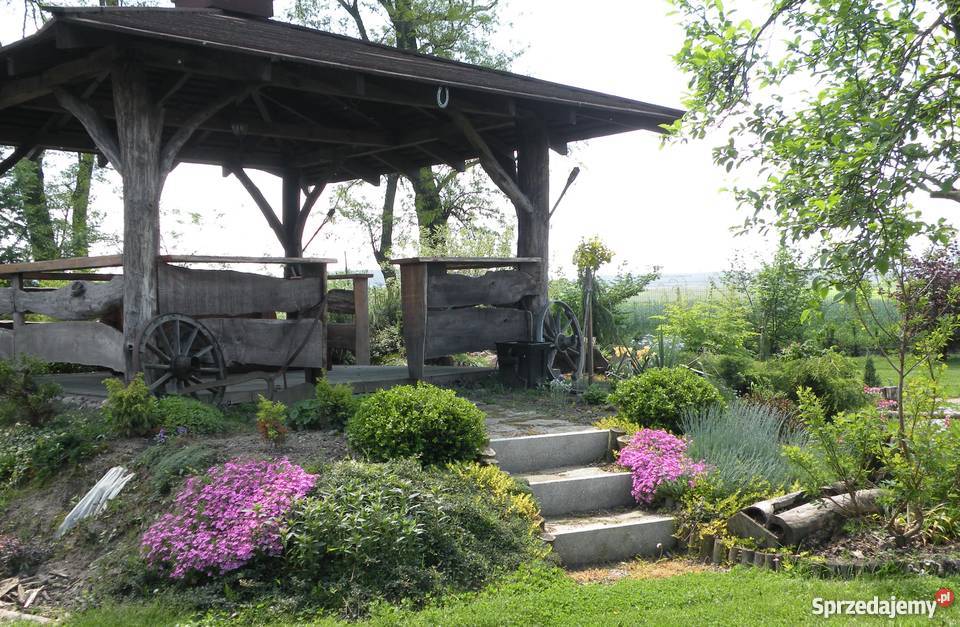 Usługi ogrodnicze na terenie Łodzi i okolic prace ogrodowe