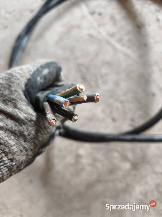 Pozostałości elektryczne Pozostałe mazowieckie Tłuszcz
