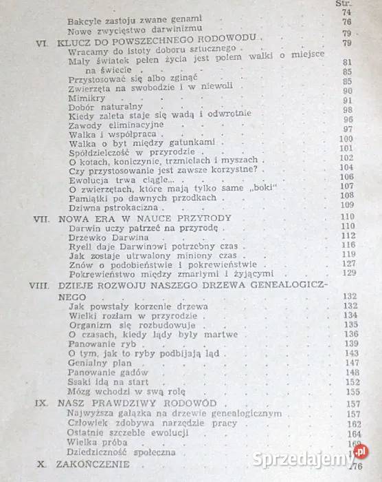 W poszukiwaniu rodowodu D Jarząbek Chełm
