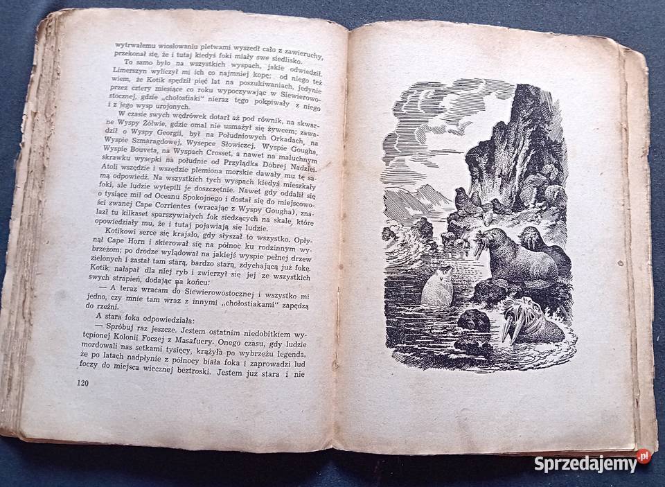 Rudyard Kipling Księga dżungli Wyd Polskie R Koźminek
