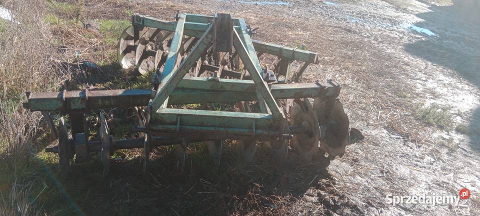 Talerzówka bomet Ciepielewo