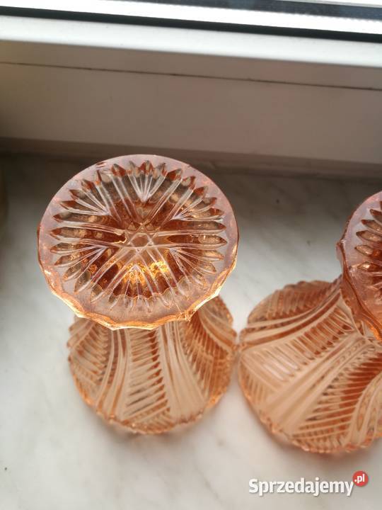 Wazoniki Ząbkowice różowe Choszczno