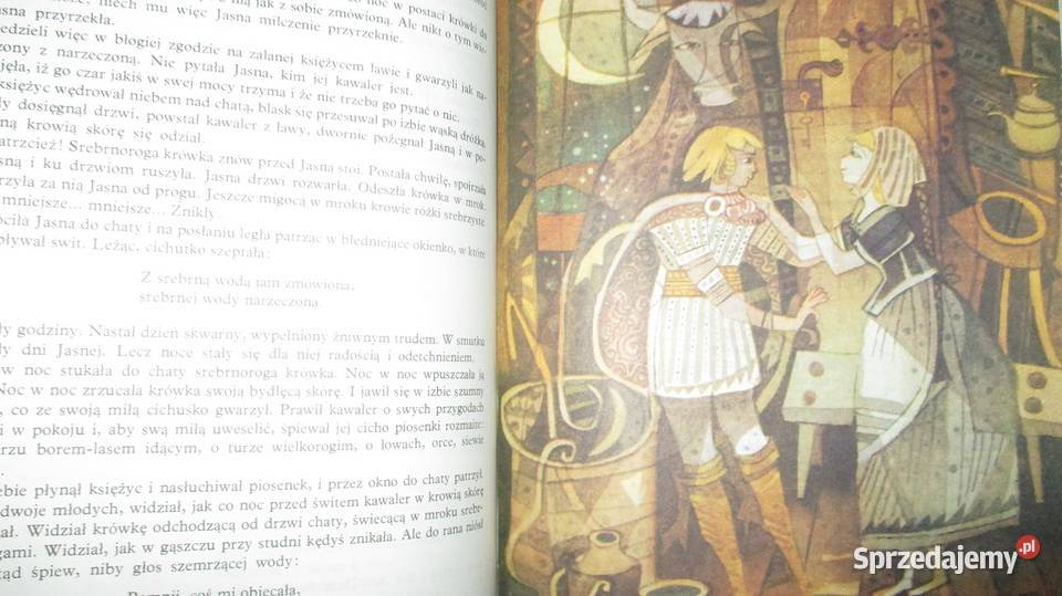 U Złotego ZródłaBaśnie polskie Wortman Rychlicki łódzkie Łódź