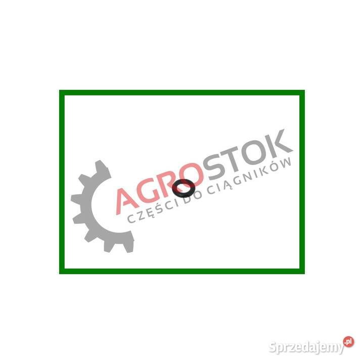 Oring filtra paliwa t25