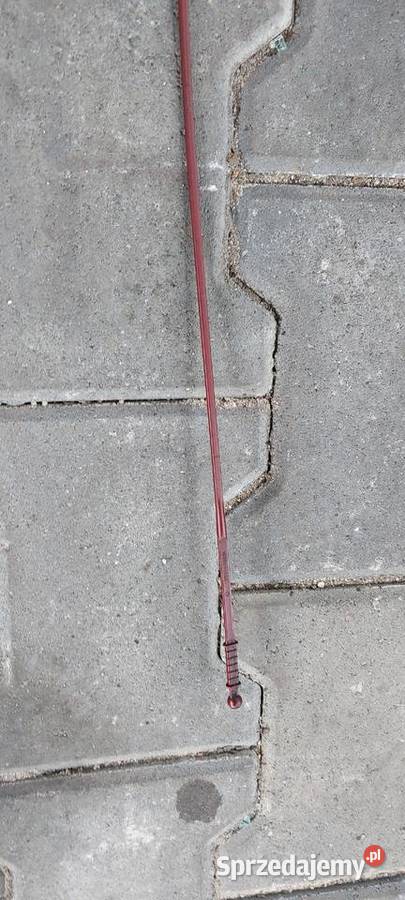 Bagnet miarka oleju Renault Megane Scenic 19 dci zachodniopomorskie Szczecin