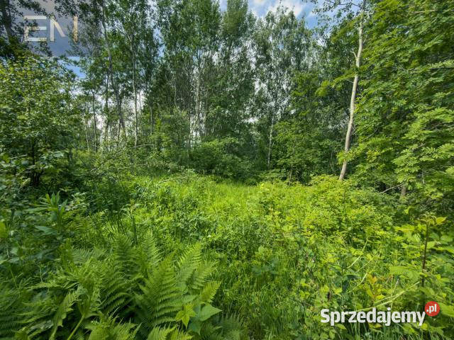 sprzedaży gruntu 4600m2 Szufnarowa sprzedam