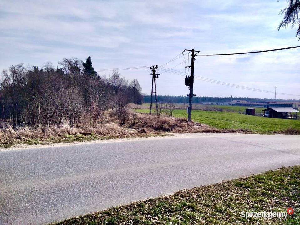 Sprzedam działkę usługowobudowlaną w m Bielice w Sprzedaż Grunty i działki