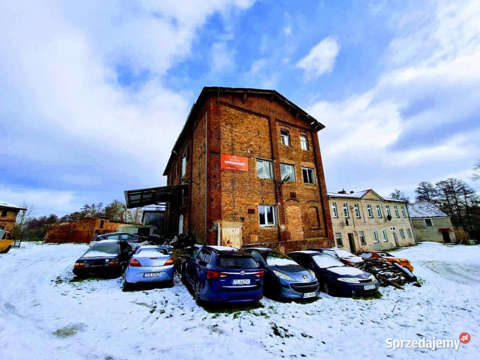 sprzedaży lokalu Chojna 65062m2 Nieruchomości