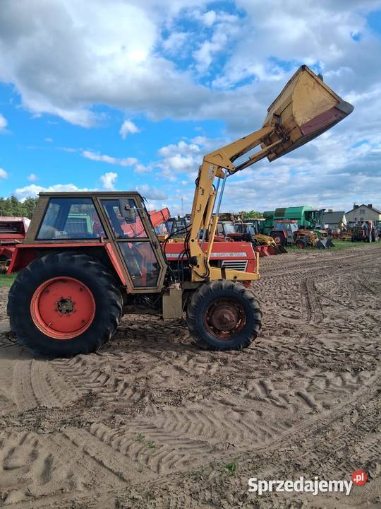 Zetor 8045 z turem szeroki i wąski dach Gostynin