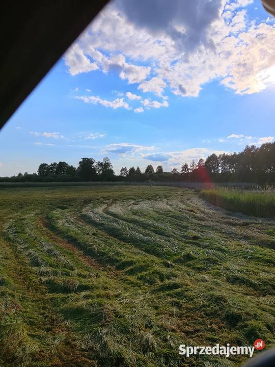 Łaka 07a i Starorzecze rzeka 057a Tysmienicy 12700m2
