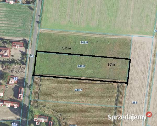 Duża działka w Słodkowie na sprzedaż wielkopolskie Słodków