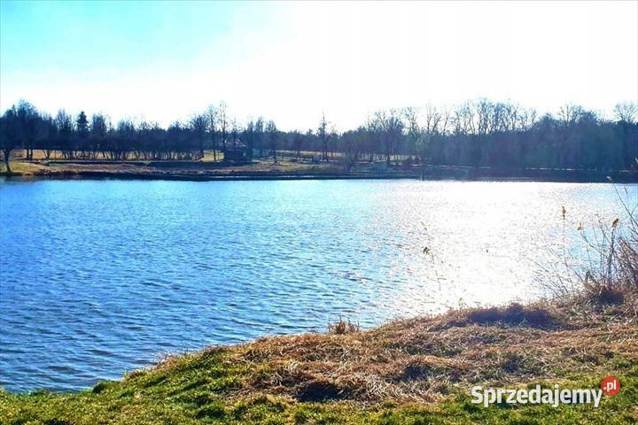 Działka budowlanorolna 11 800 m2 m2 w gm 11712m2 Stare Budy Radziejowskie