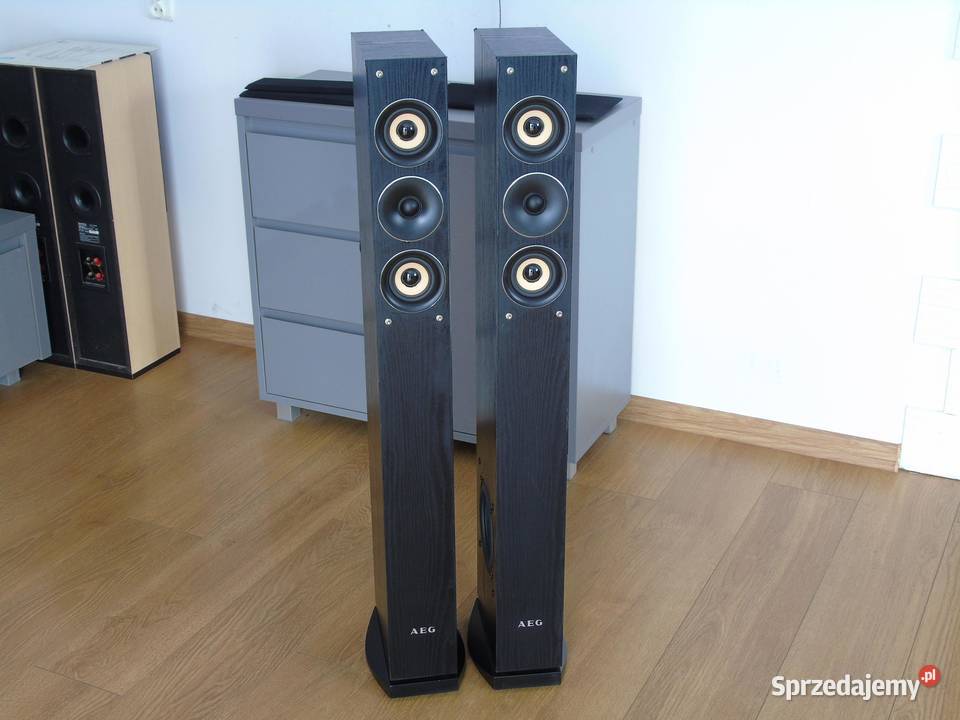 Mocne i ładne kolumny AEG 2x 480 wat DOSTAWA