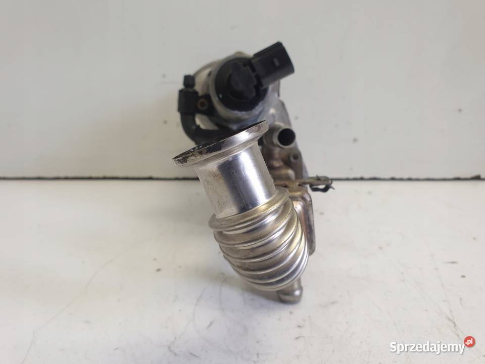 Renault Scenic II 19 DCI CHŁODNICA SPALIN EGR Rudka