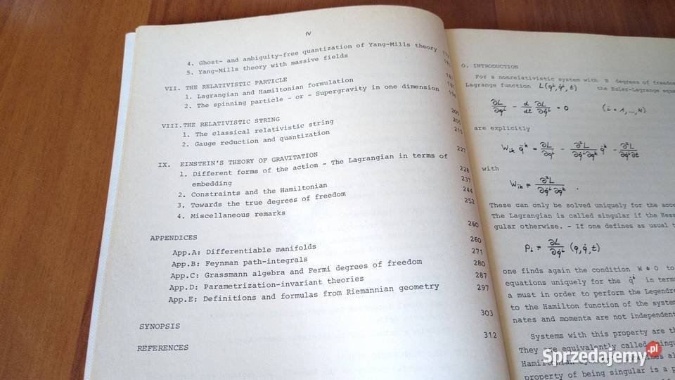 Constrained dynamics with applications to Gdańsk