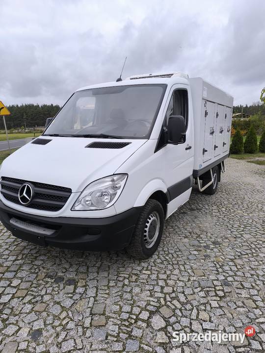 Mercedes sprinter chłodnia mroźnia zdrowy 2/3 kujawsko-pomorskie Inowrocław