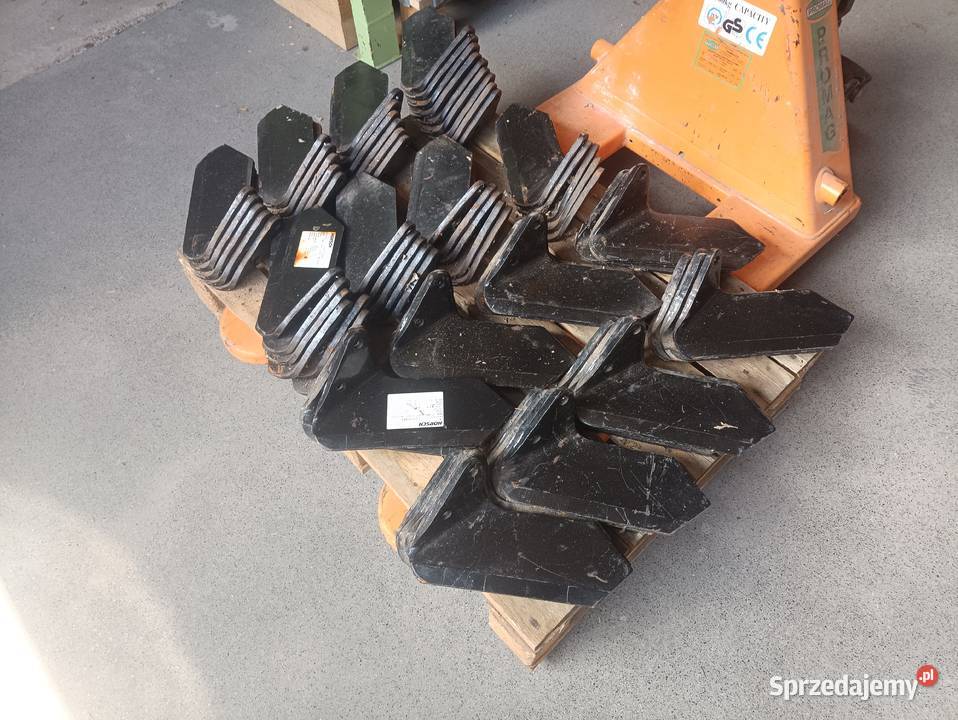 00310985 Lemiesz boczny redlica skrzydełkowa Dolice