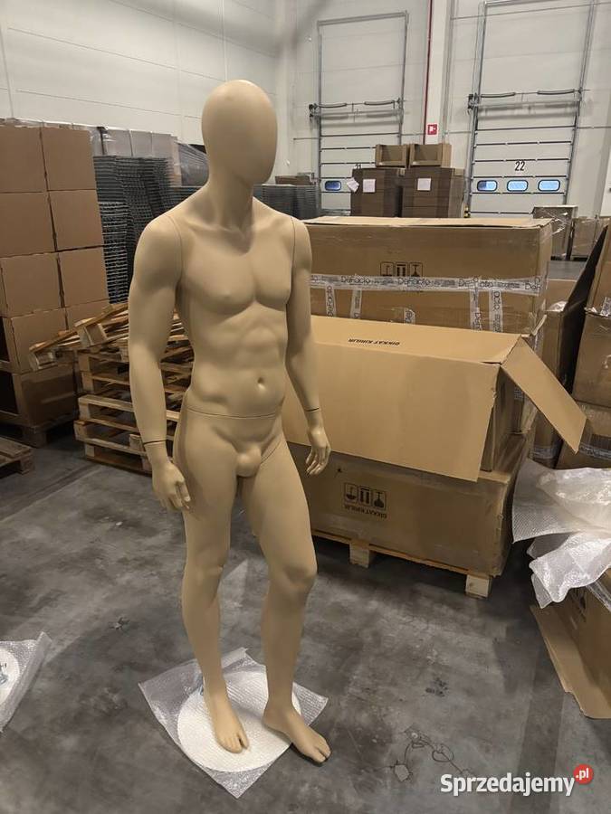 Manekiny sklepowe premium Poznań