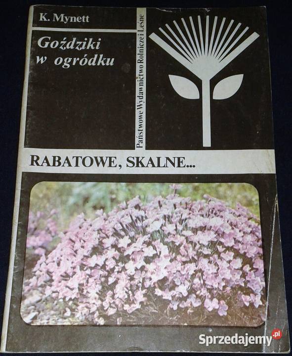 Goździki w ogródku Rabatowe skalne Kazimierz Pozostałe lubelskie Chełm sprzedam
