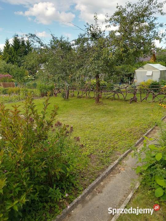 Sprzedam prawo do dzierżawy działki ROD w Relax Białystok