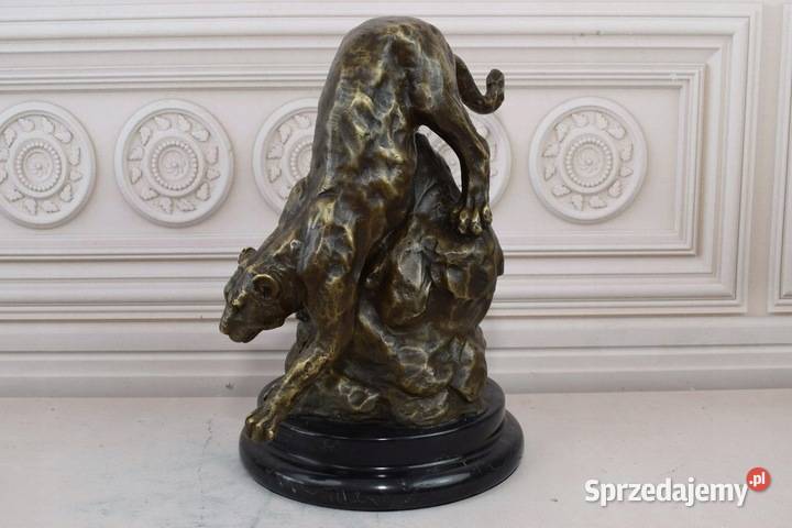 Lampart Na Skale Leopard Tygrys Jaguar Puma