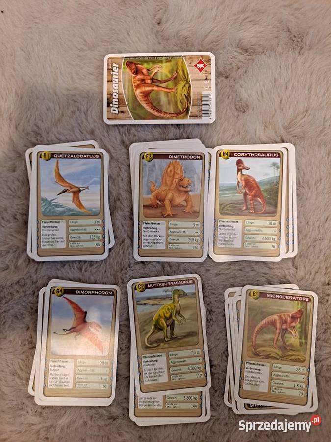 Dinozaury karty do zabawy lubelskie Lublin