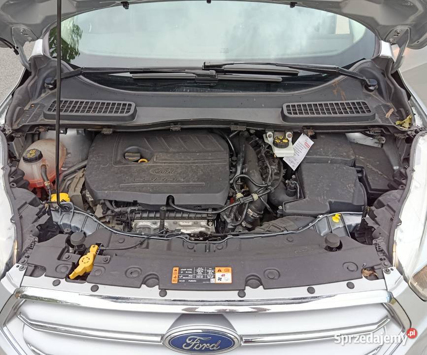 Ford Kuga Titanium AWD 4WD 4x4 182 2017 serwisie Piotrków Trybunalski