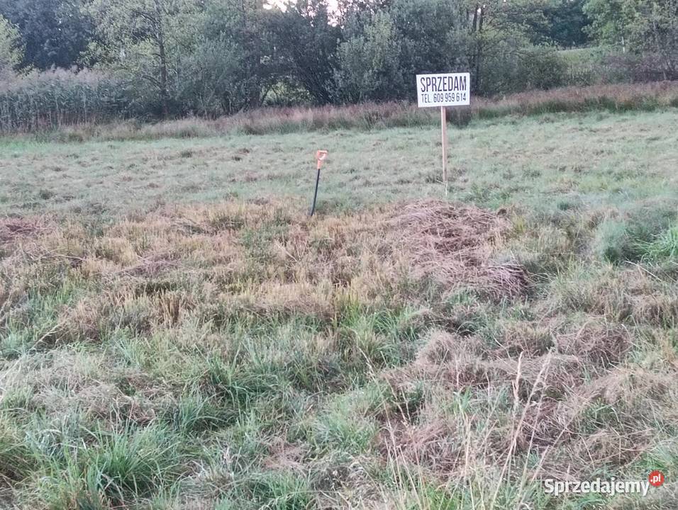 Pole łąka Opole chmielowice