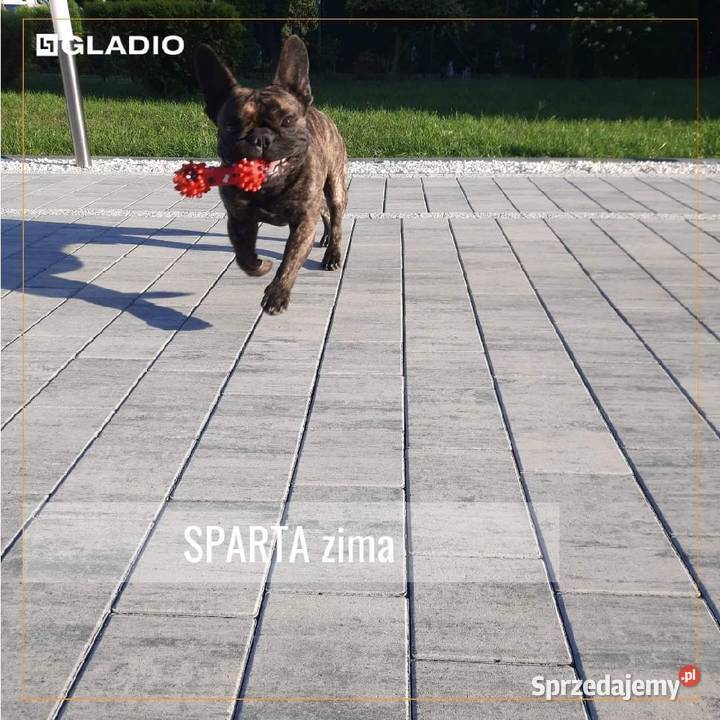 Kostka brukowa SPARTA Gladio Obrzeża Niechcice