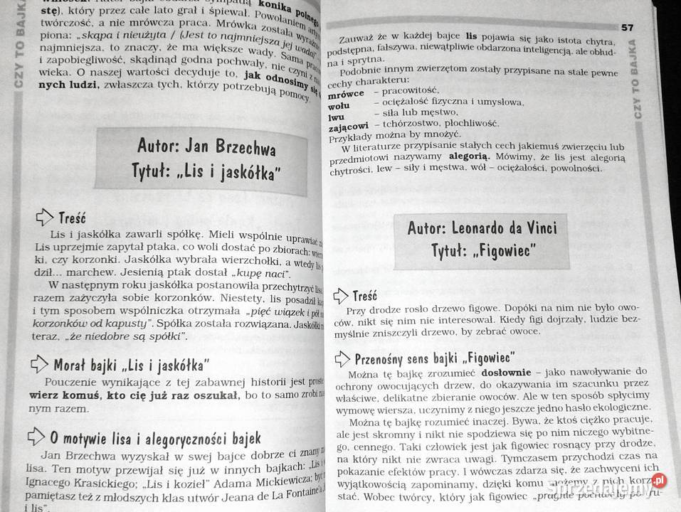 Opracowania lektury wiersze kl 5 Język polski lubelskie Chełm